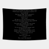 Damon And Elena Vampire Diaries Argument Tapestry Official Vampire Diaries Merch